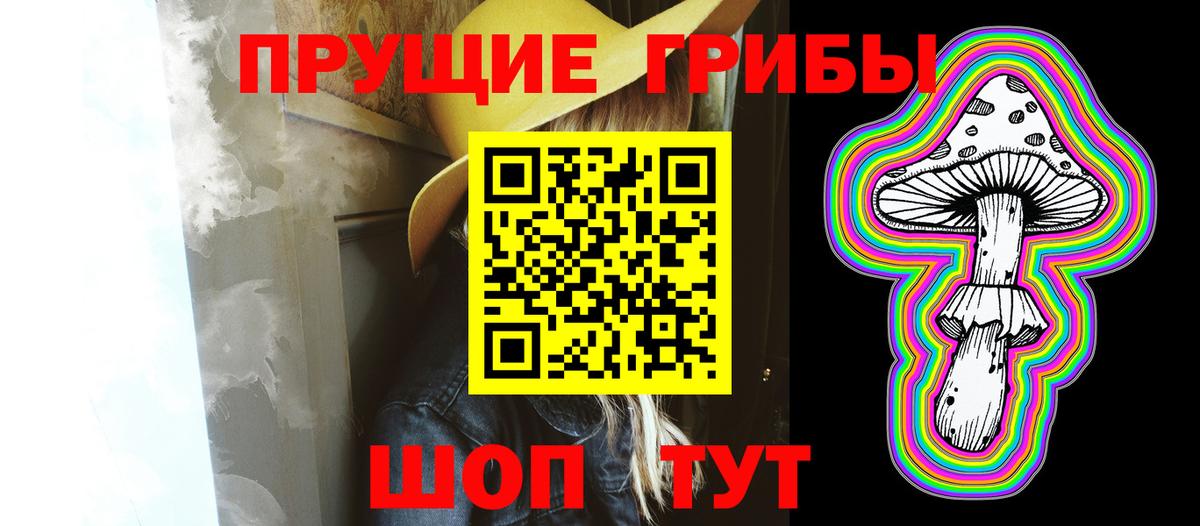 Псилоцибиновые грибы MAGIC MUSHROOMS  Вход с VPN  Псилоцибиновые грибы GOLDEN TEACHER  Ижевск 